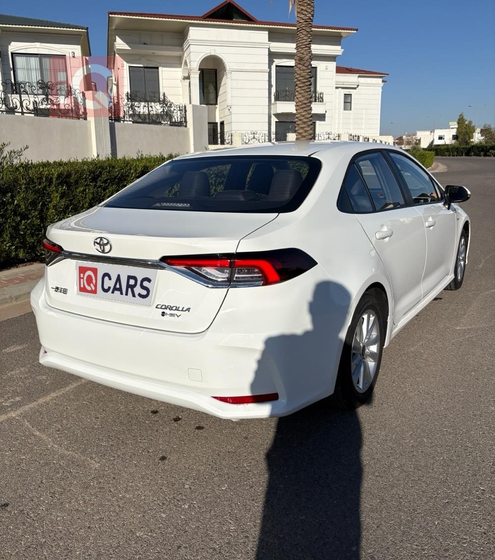 تويوتا كورولا